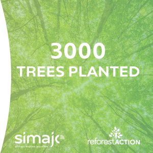Read more about the article Reforestaction: proud to be part of it